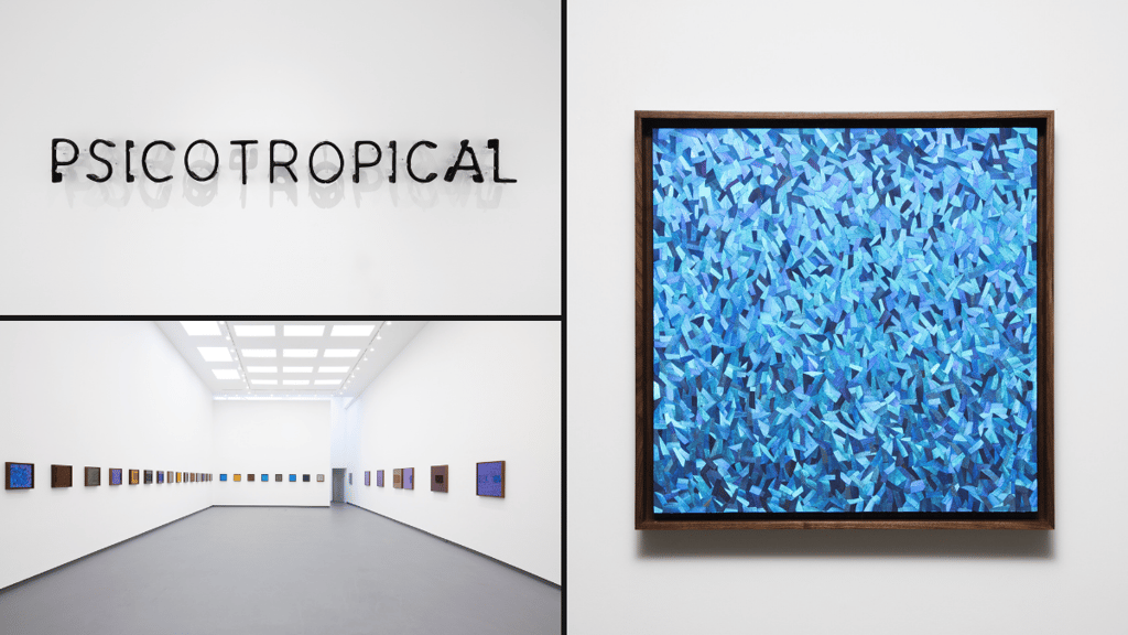 psicotropical proyectos monclova