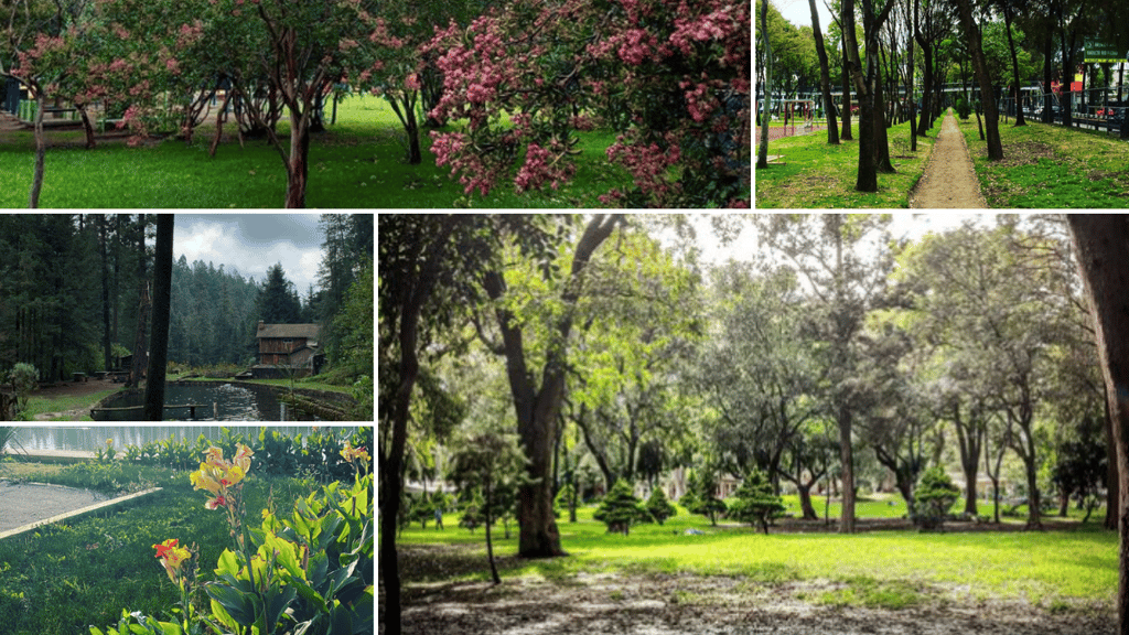 parques pícnic CDMX