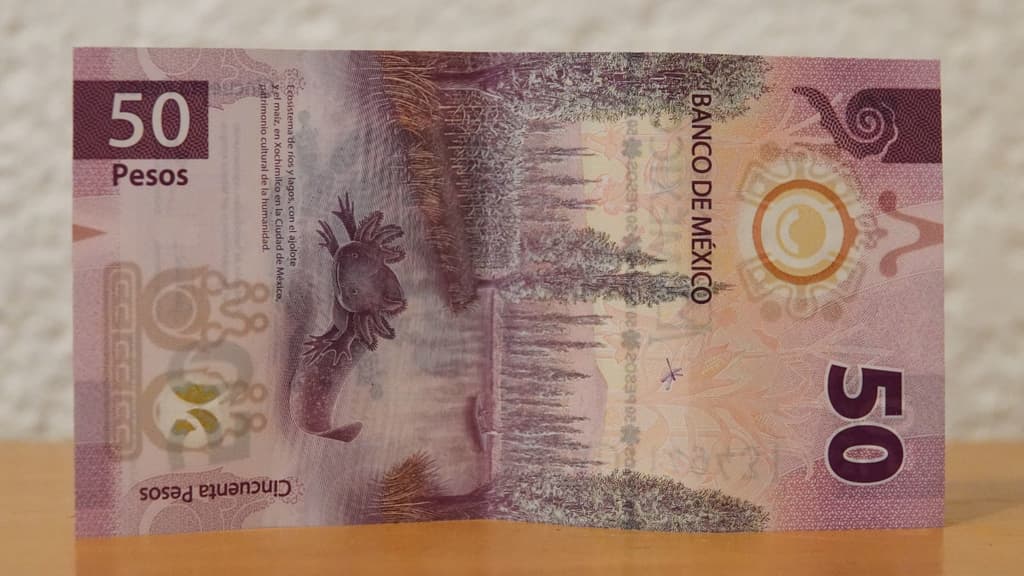 billete de 50 pesos