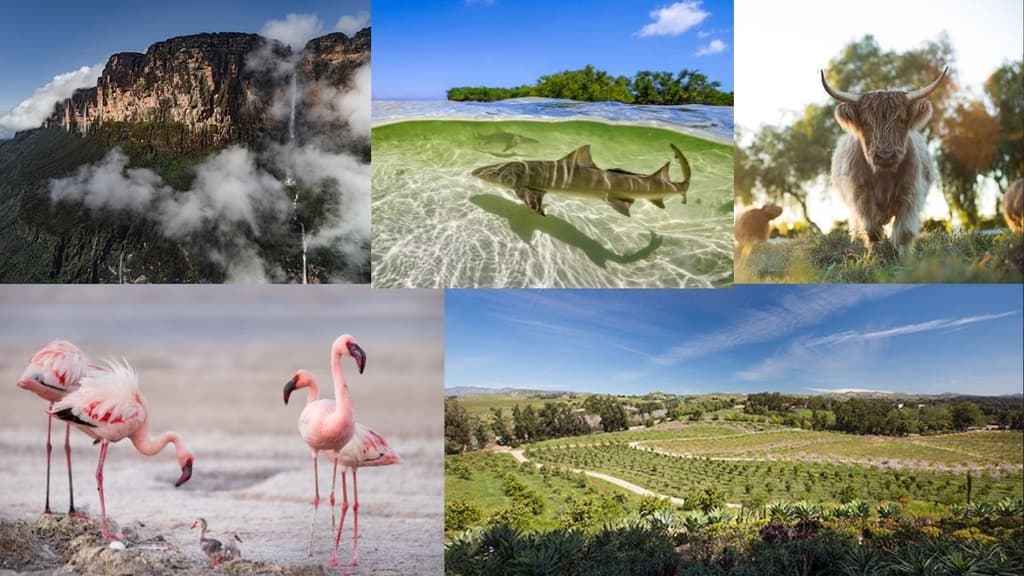 Día de la Tierra: Estos son los programas y películas que podrás ver.