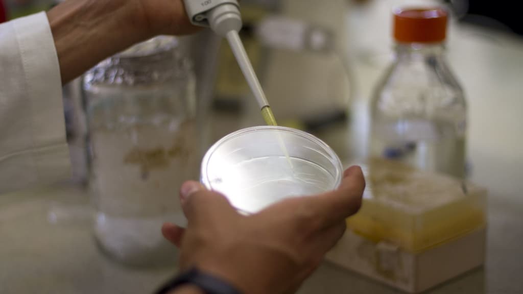 Hepatitis aguda grave