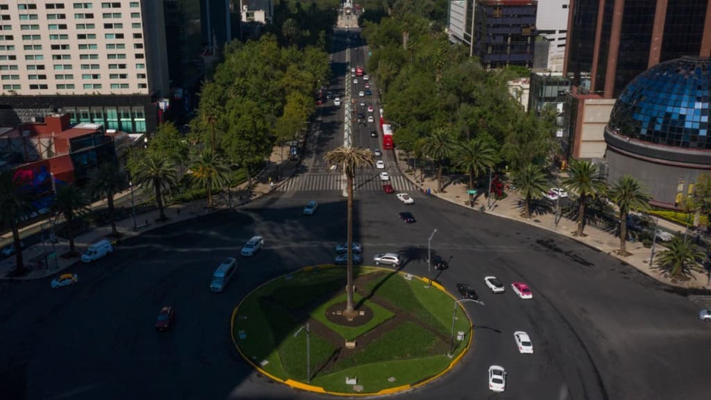 ahuehuete en Reforma