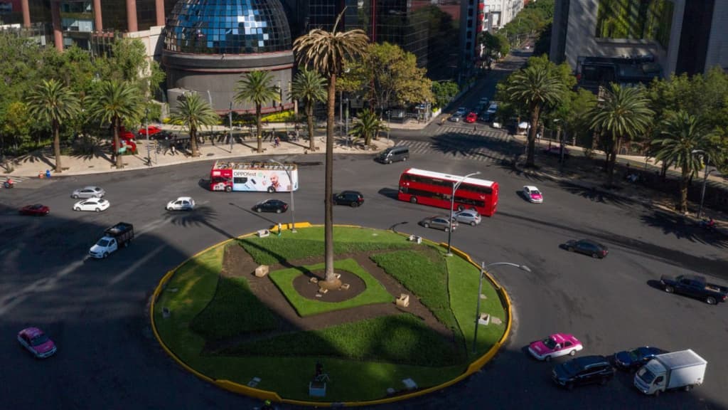 ahuehuete en la Glorieta de la Palma