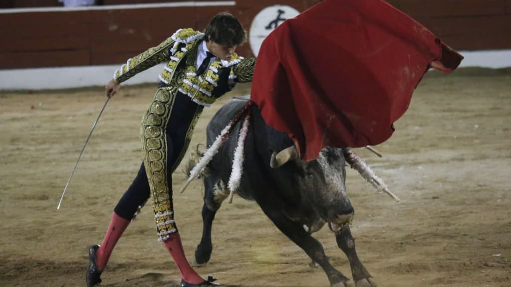 corridas de toros en la Plaza México