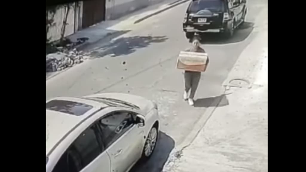 mujer abandona a cachorros en una caja