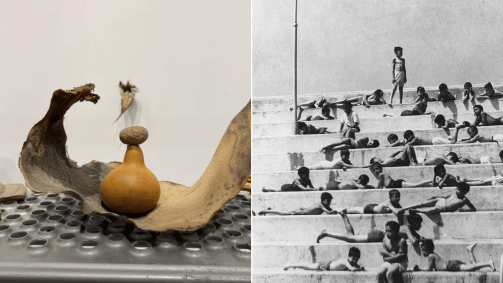 nuevas exposicones museo carrillo gil