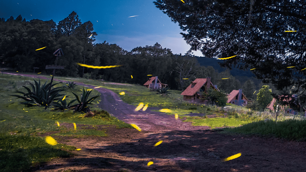 temporada luciérnagas 2022 Tlaxcala