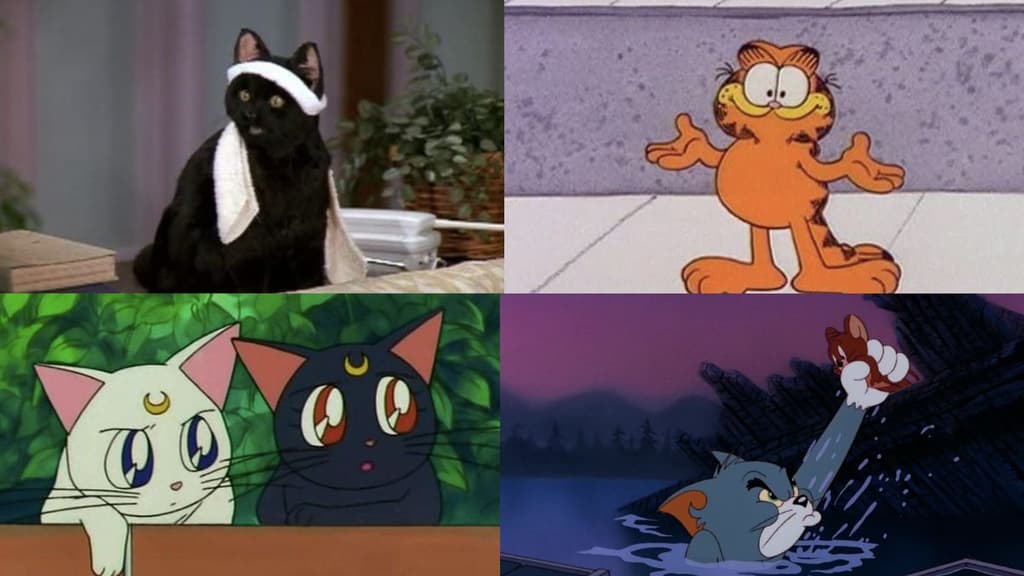 Los michis más queridos del cine y la televisión.