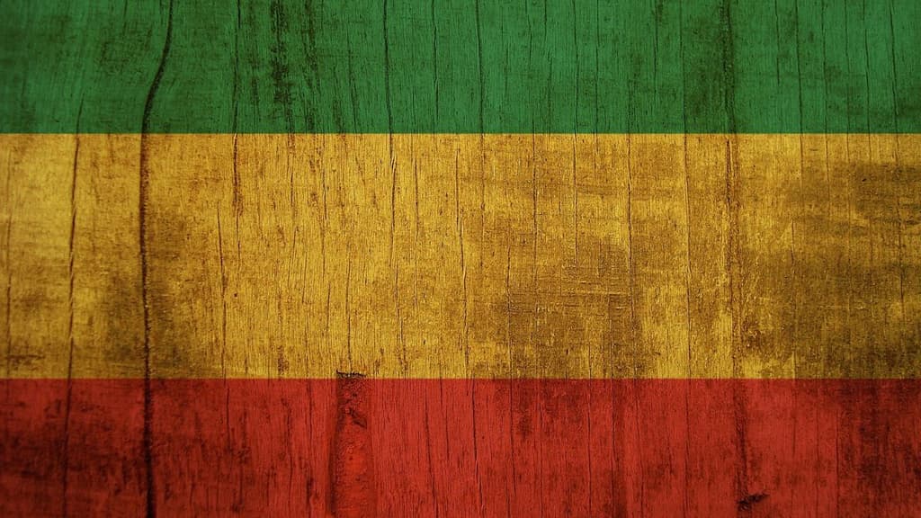 Reggae mexicano: 10 rolas para vibrar chido.