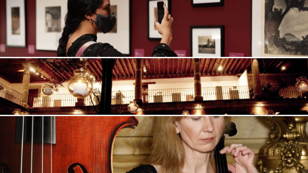 verano museo Franz mayer