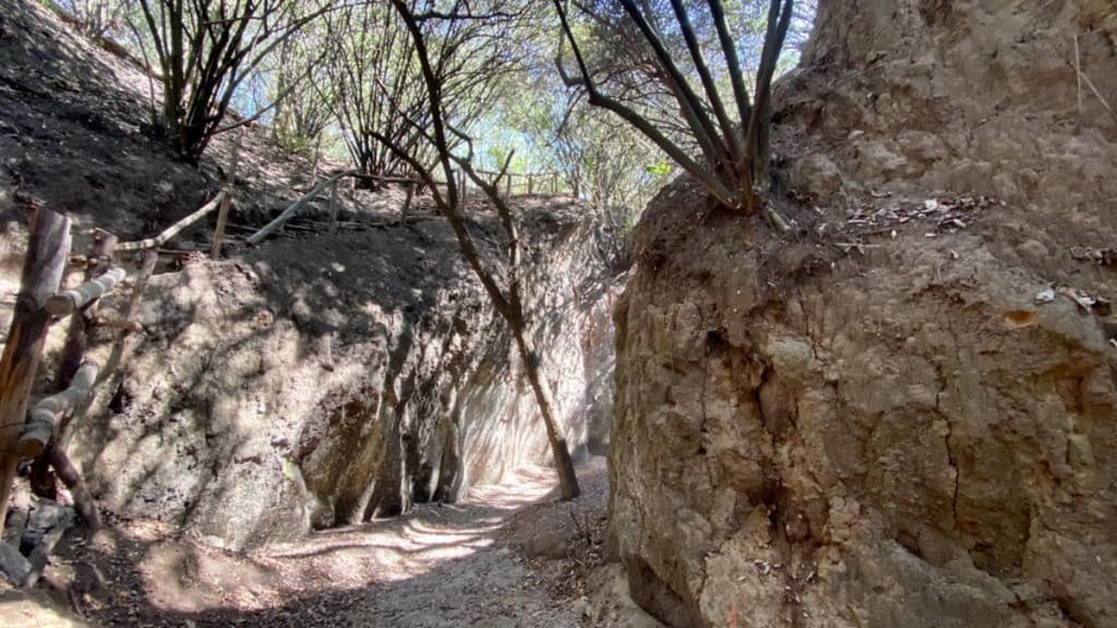 Serpientes y Escaleras en Chapultepec