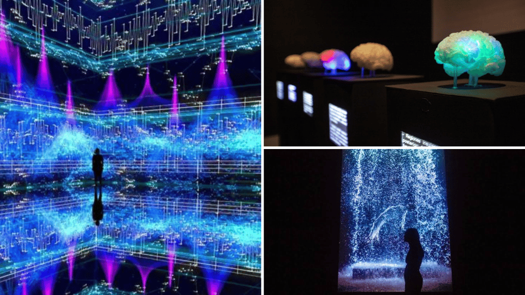 exposiciones inmersivas CDMX