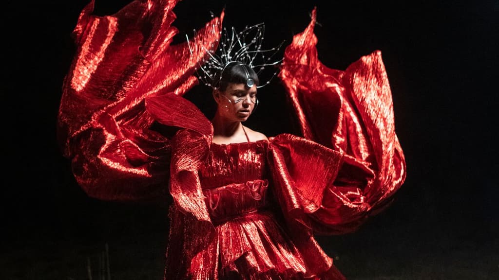 Bomba Estéreo participa en el cortometraje Tierra de Fana Adjani.