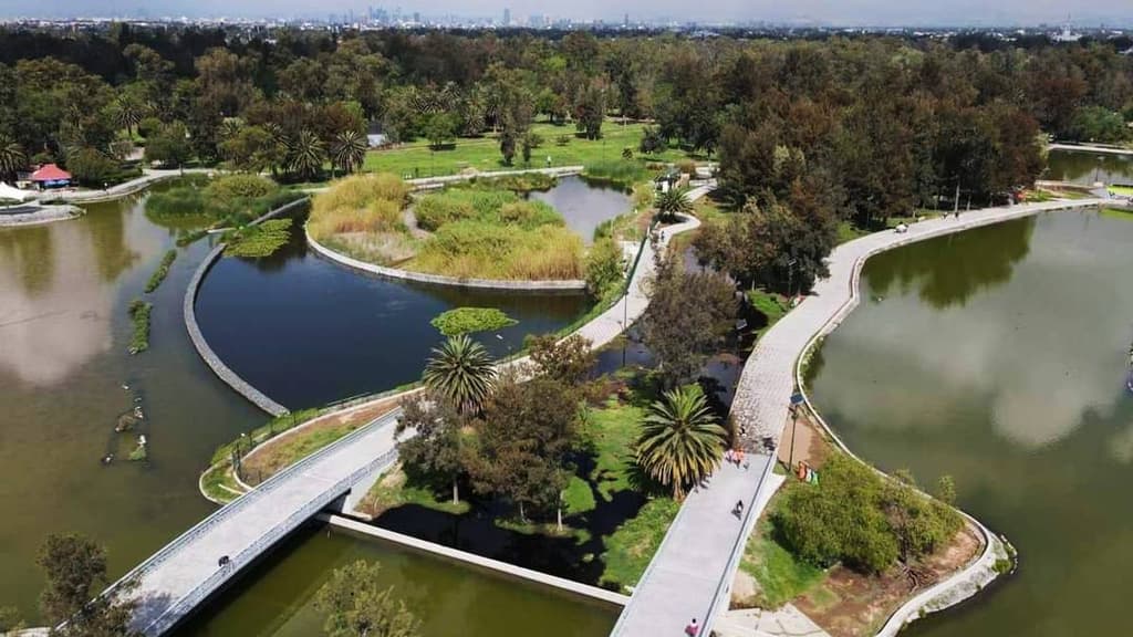 Actividades gratis en el bosque de Aragón