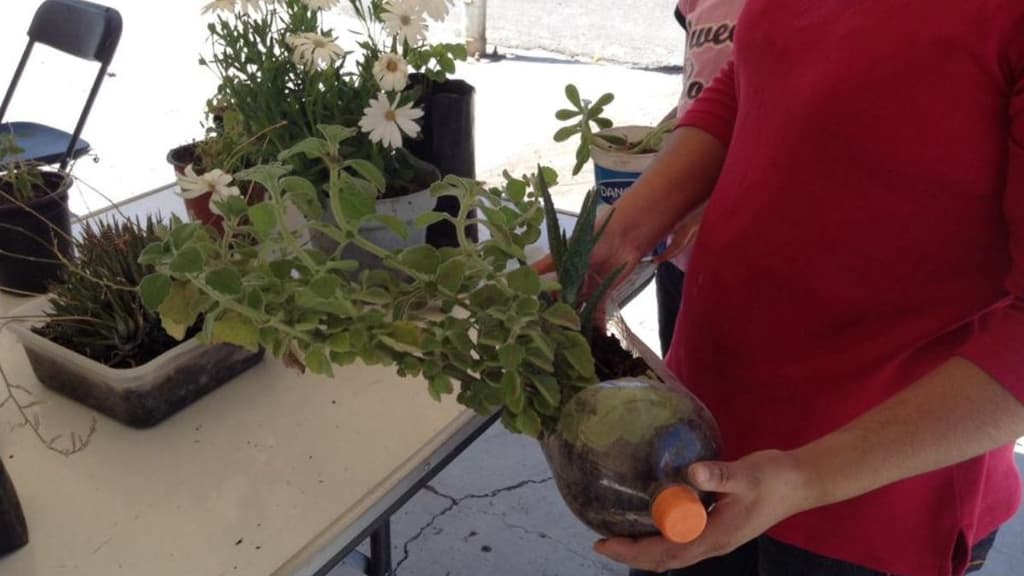 Actividades gratuitas en CDMX.