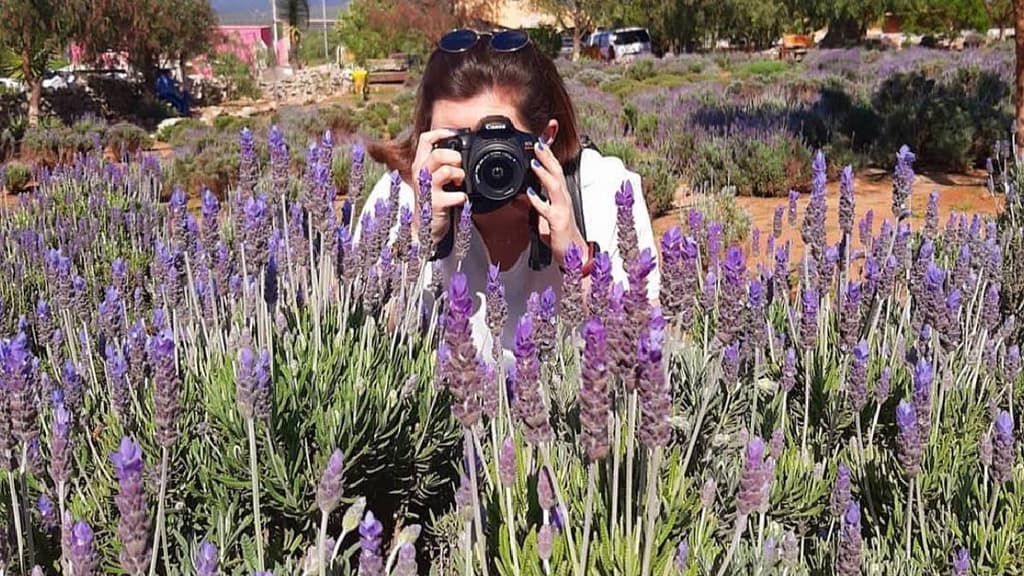Pueblos mágicos de Guanajuato donde hay lavanda