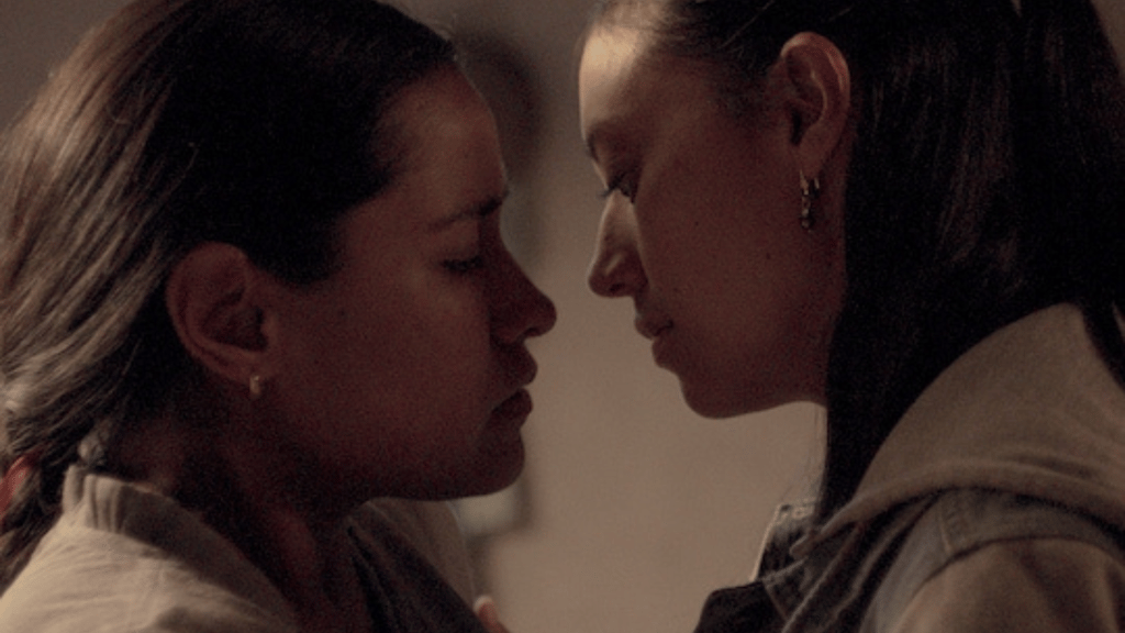 cinema queer méxico 2022 nudo mixteco