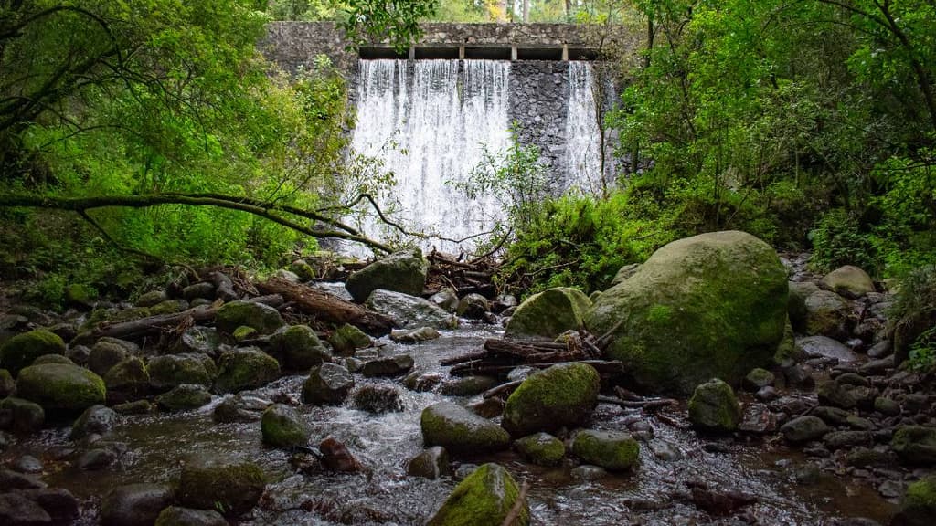 Parques Nacionales CDMX