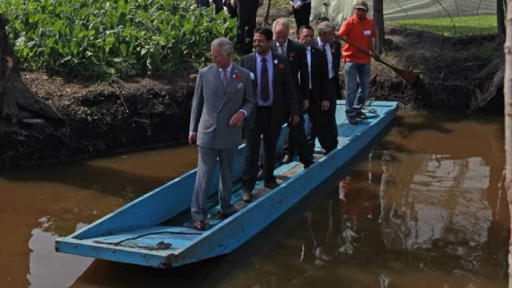 Visita del Rey Carlos a la CDMX