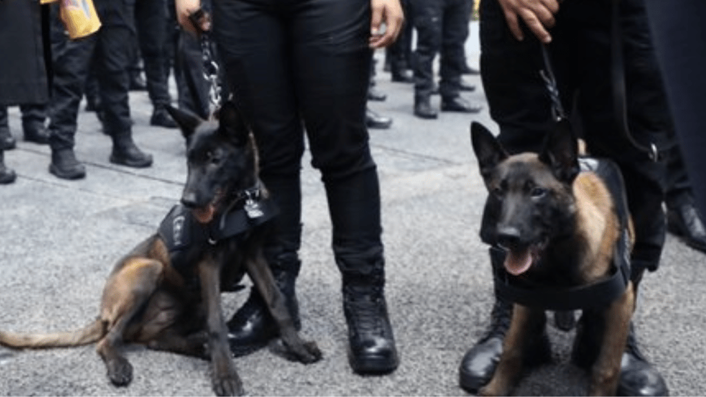 Unidad Especial Canina