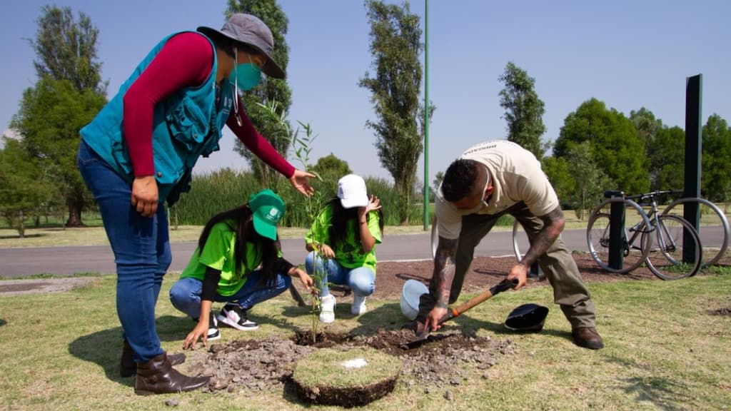 Actividades gratuitas CDMX.