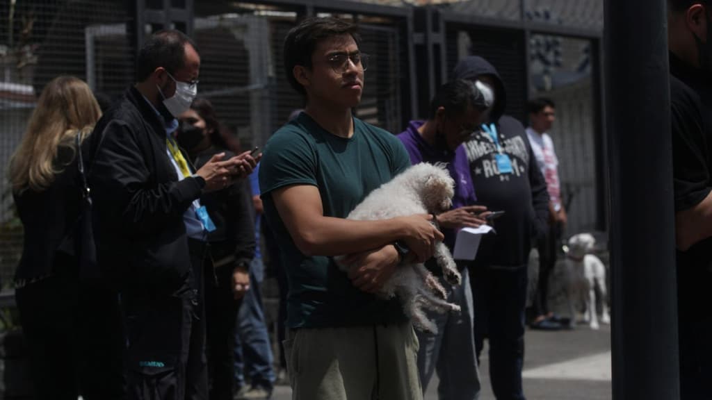 ayuda ante una crisis nerviosa