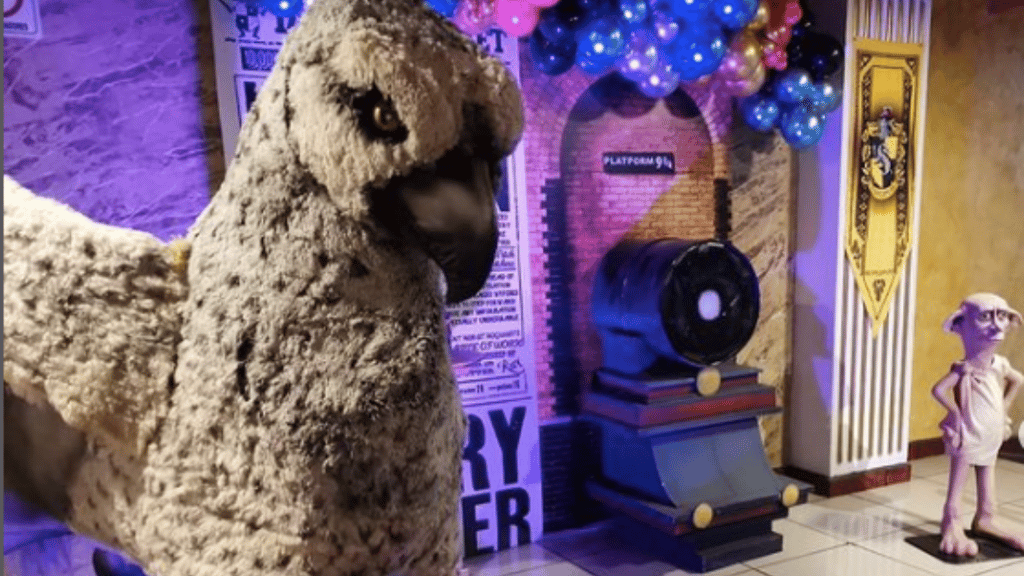 halloween party Harry Potter