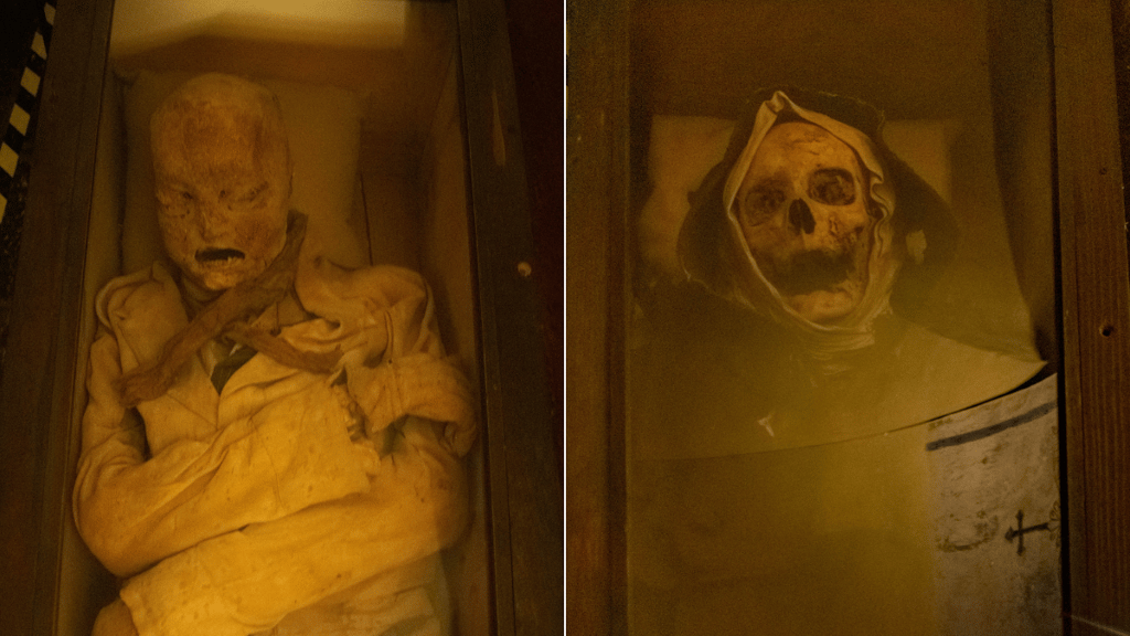 museo el carmen momias CDMX