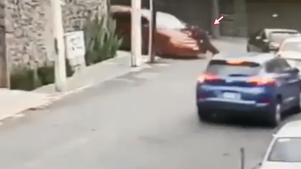 persecución en Santa María Tepepan