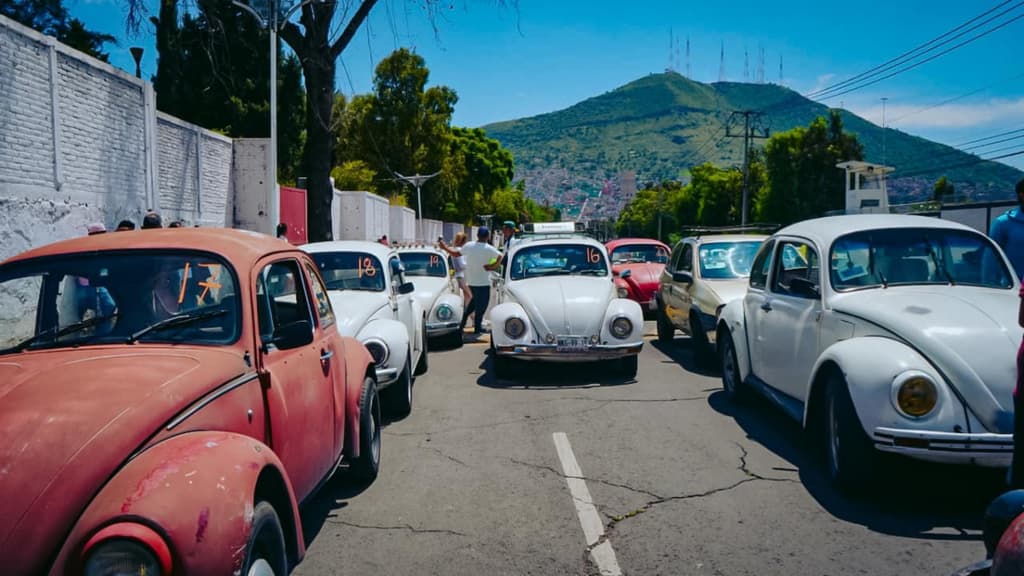 vochotaxis en Cuautepec