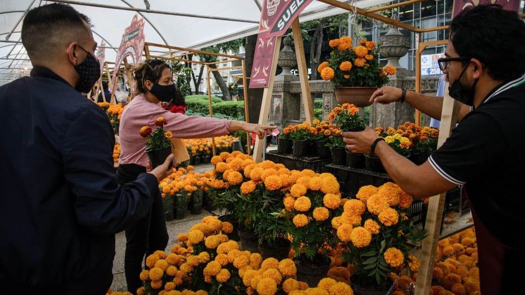 Festival de Flores de Otoño 2022