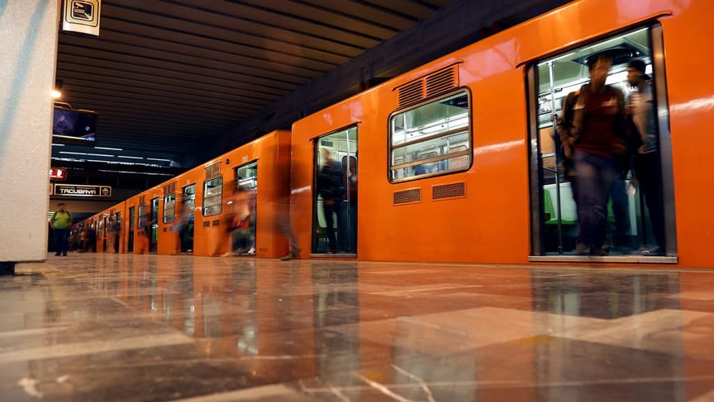 Fósiles marinos en el meto de CDMX