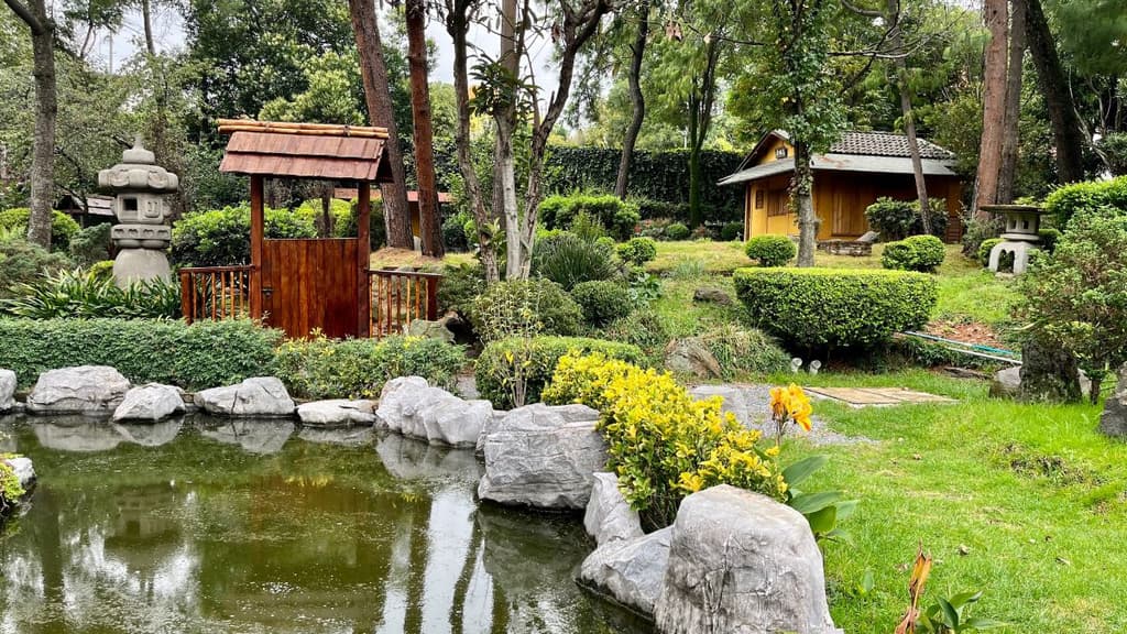 Conoce la Asociación México Japonesa en CDMX.