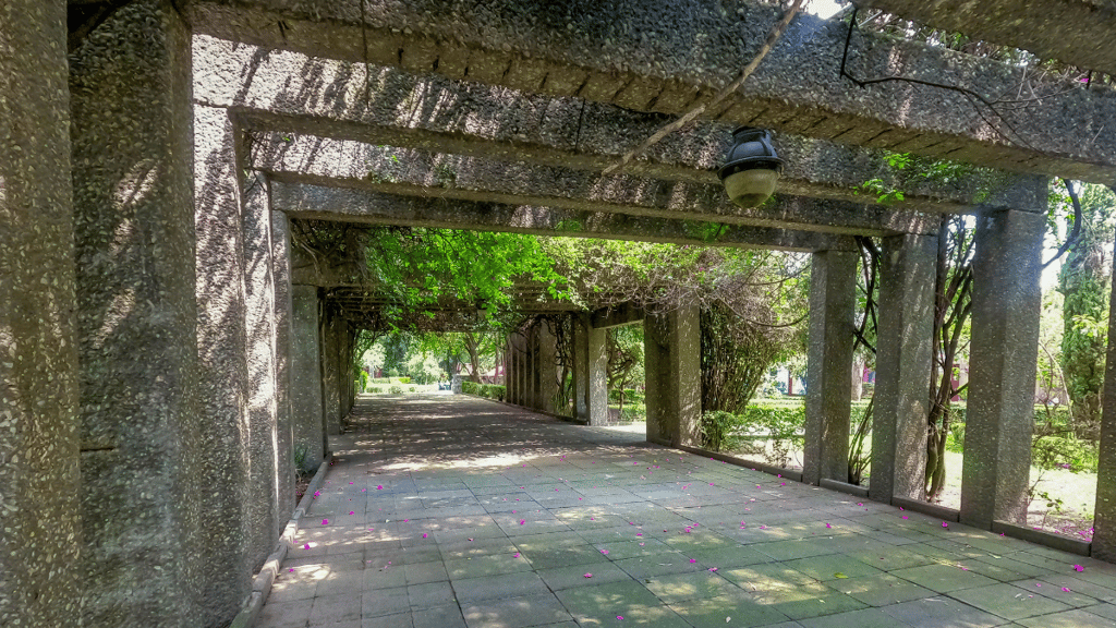 parques bonitos coyoacán