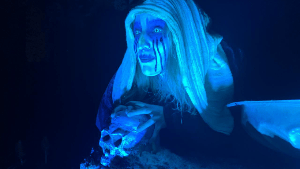 recorridos leyendas nocturnas desierto leones