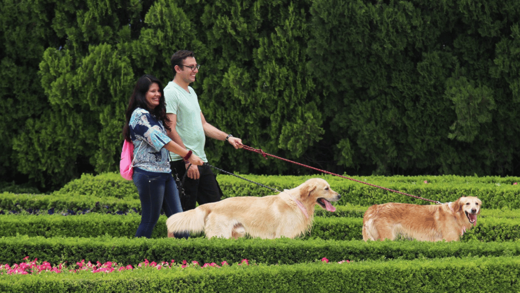 festival dog friendly jardines de México