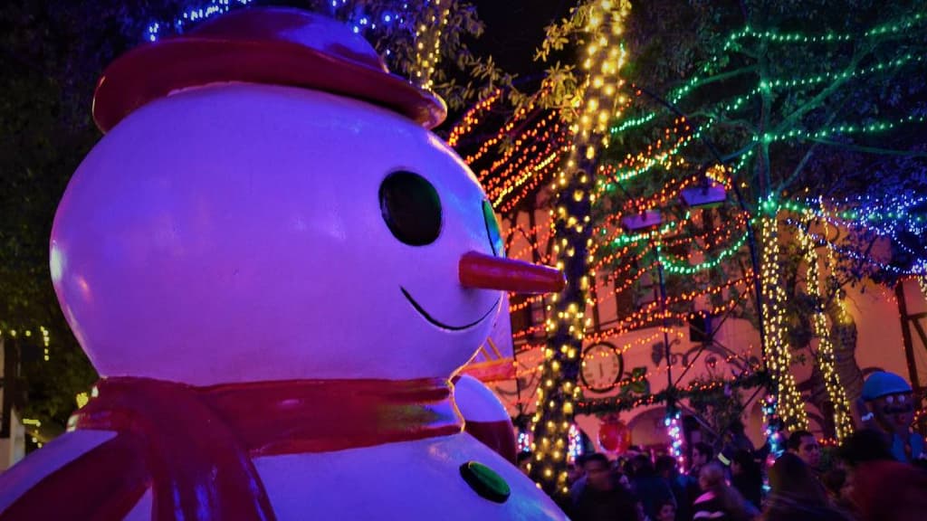 Christmas in the park