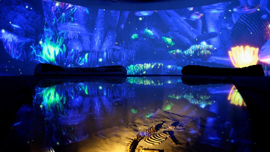 30 aniversario del Museo Universum