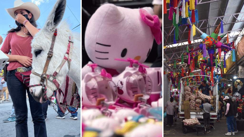 mercados tianguis CDMX 2022