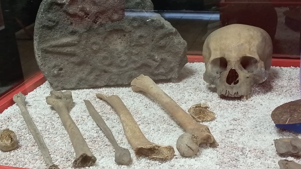 museo arqueológico de xochimilco