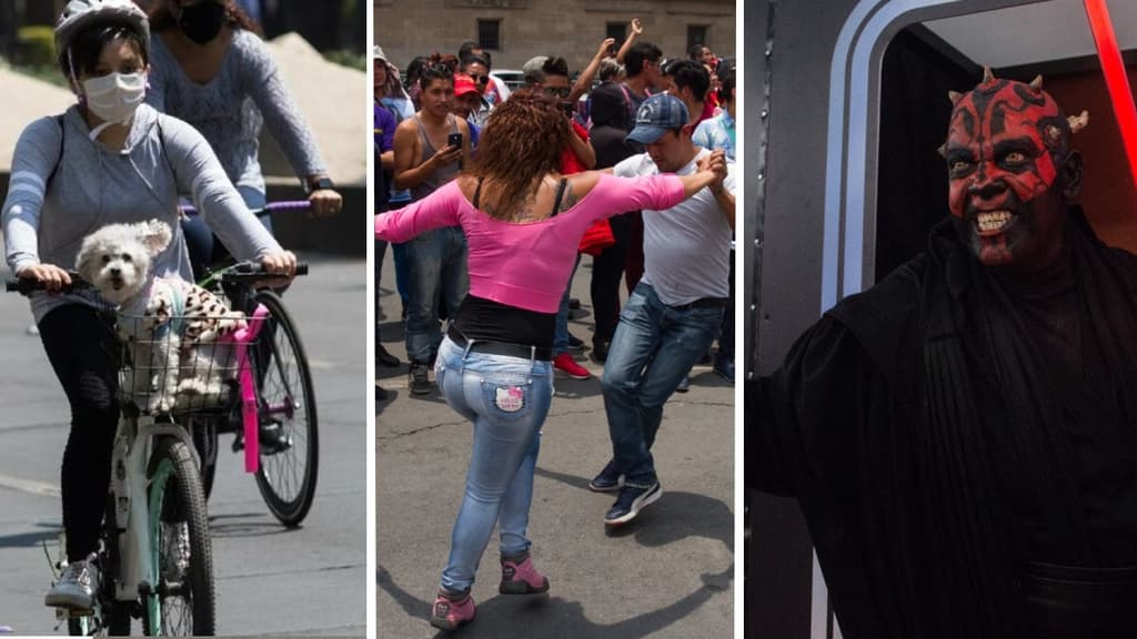 Actividades de fin de semana gratis