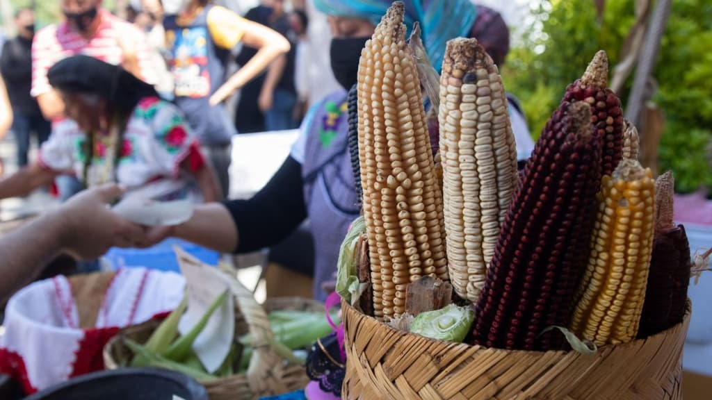 Feria de Semillas y la Milpa en CDMX.