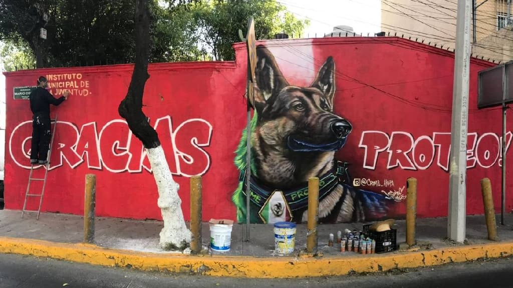 Perro Proteo ya tiene un mural en su honor