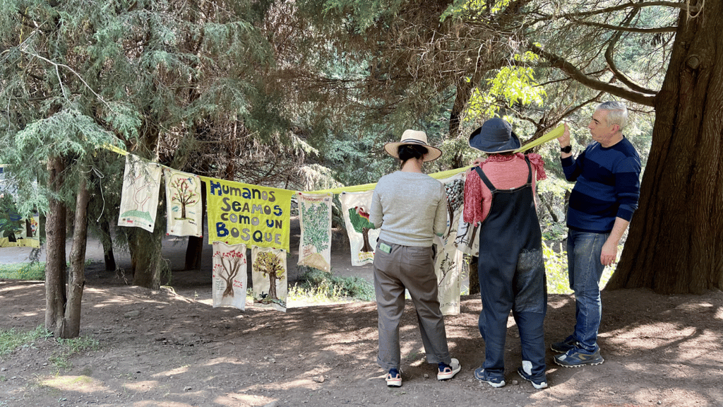 bosque esperanza