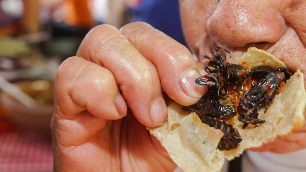 Festival de insectos comestibles Bichópolis.