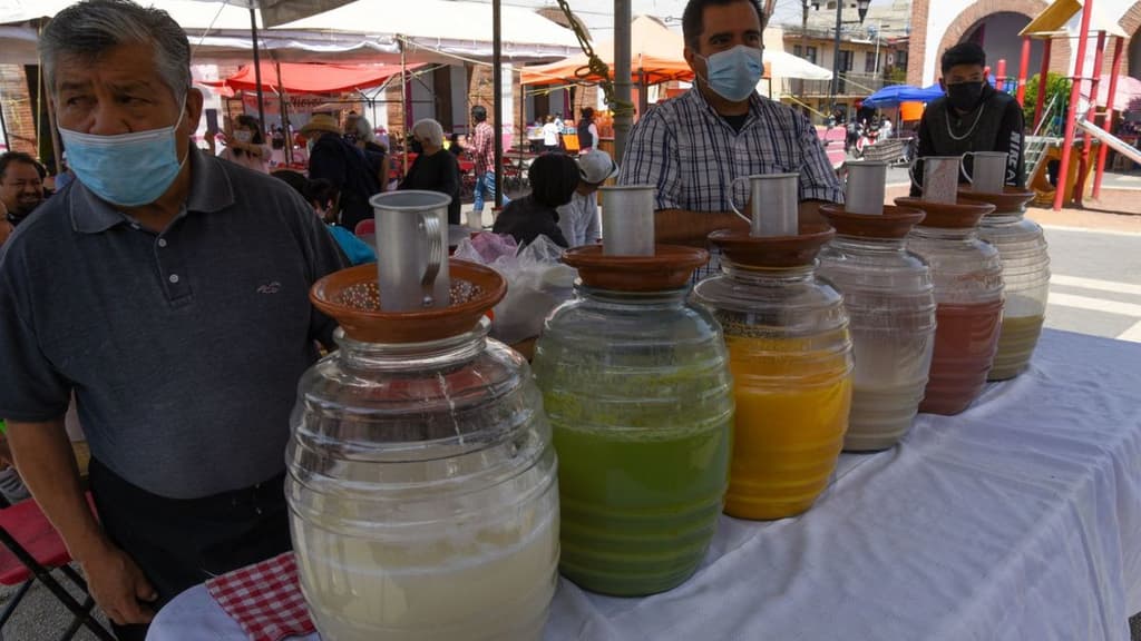 Fiesta del Pulque CDMX 2023