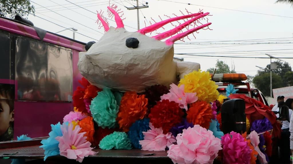 Desfile de la Flor Más Bella del Ejido