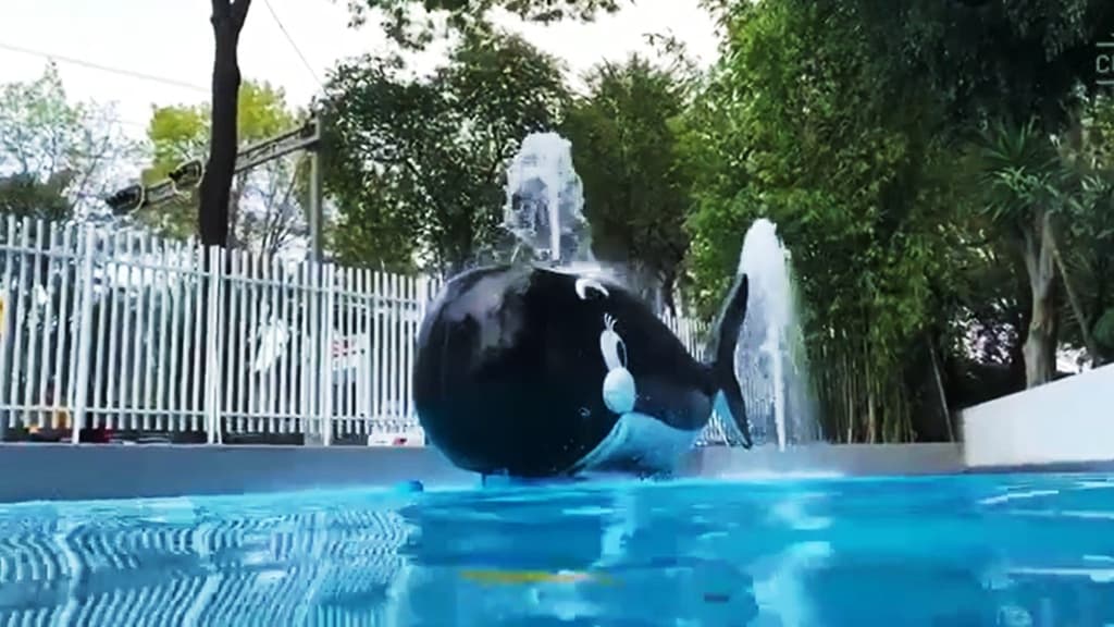 Parque Acuático La Ballenita