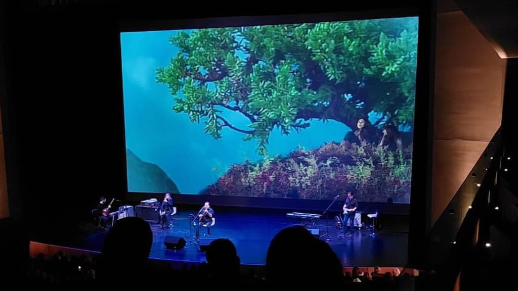 Concierto sinfónico para niños.