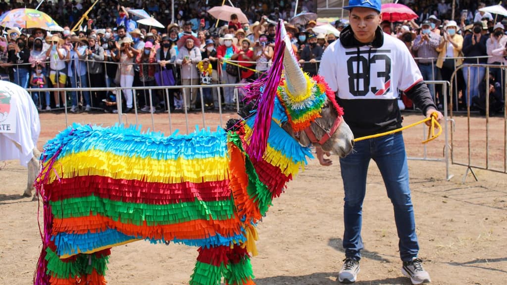 Feria Nacional del Burro 2023.